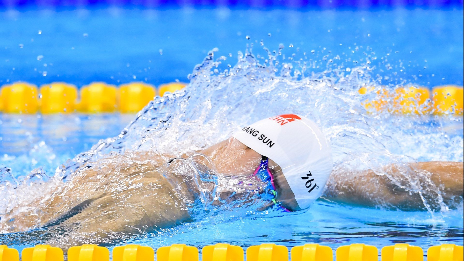 九游娱乐官网 (jiuyou)-阿根廷诞生世界首批基因编辑马匹，提升马球速度，推动马术科技发展。